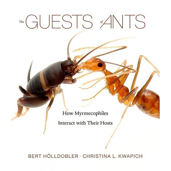 The Guests of Ants, Bert Hölldobler, Christina L. Kwapich