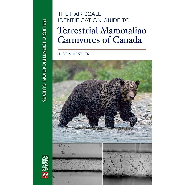 The Hair Scale Identification Guide to Terrestrial Mammalian Carnivores of Canada / Pelagic Identification Guides, Justin Kestler