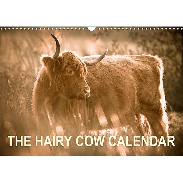 The Hairy Cow Calendar (Wall Calendar 2021 DIN A3 Landscape), Geoff du Feu
