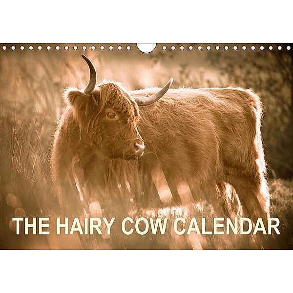 The Hairy Cow Calendar (Wall Calendar 2021 DIN A4 Landscape), Geoff du Feu