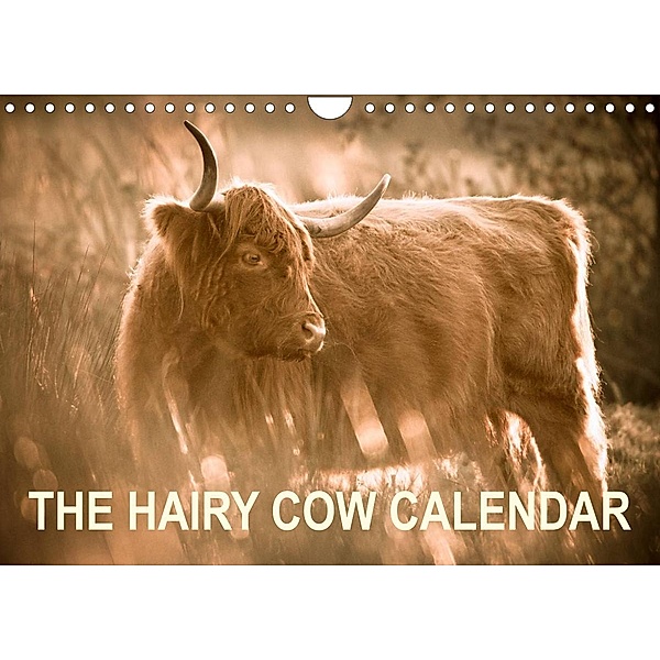 The Hairy Cow Calendar (Wall Calendar 2023 DIN A4 Landscape), Geoff du Feu