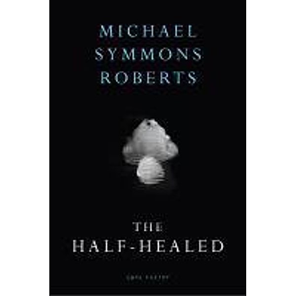 The Half Healed, Michael Symmons Roberts