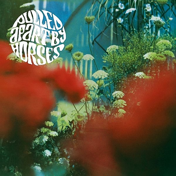 THE HAZE (2022 Repress), Pulled Apart By Horses