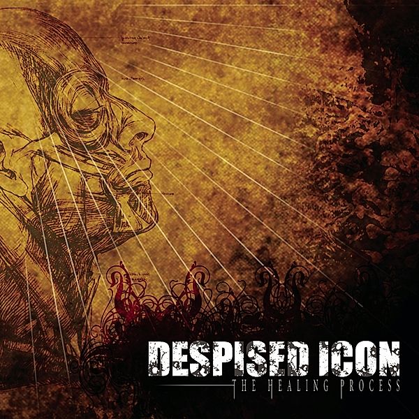 The Healing Process (Alternate Mix-Re-Issue+Bo, Despised Icon