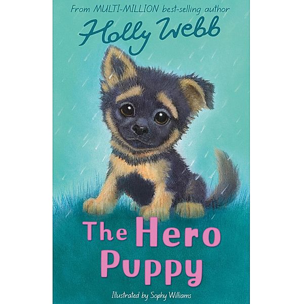 The Hero Puppy / Holly Webb Animal Stories Bd.58, Holly Webb