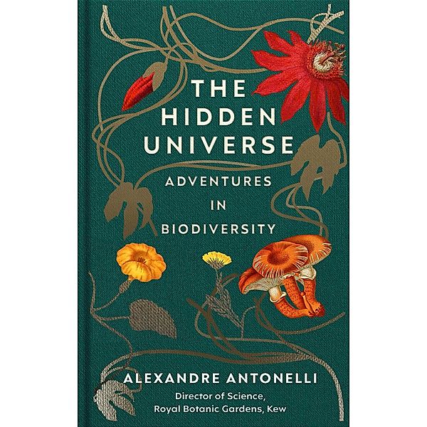 The Hidden Universe, Alexandre Antonelli