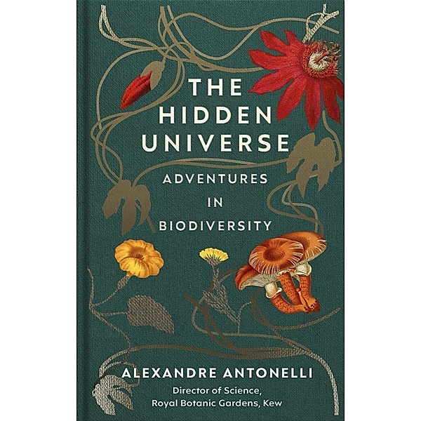 The Hidden Universe, Alexandre Antonelli