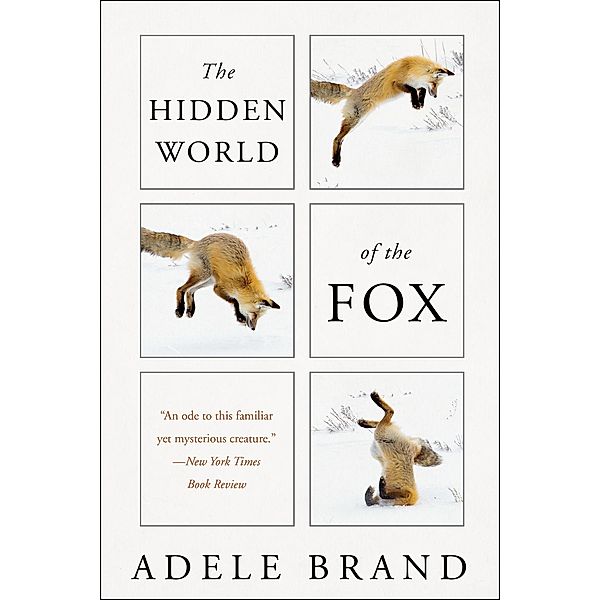 The Hidden World of the Fox, Adele Brand