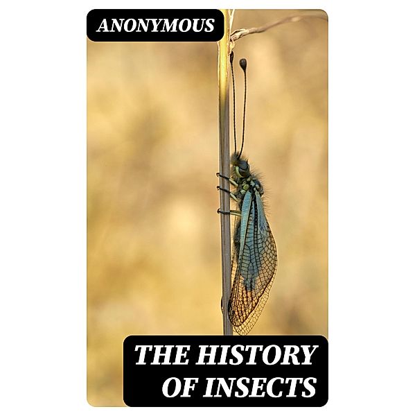 The History of Insects, Anonymous