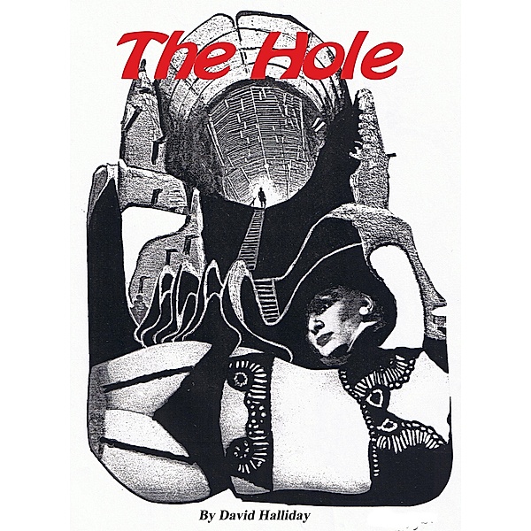 The Hole (The Cases of Detective Sam Kelly, #1) / The Cases of Detective Sam Kelly, David Halliday