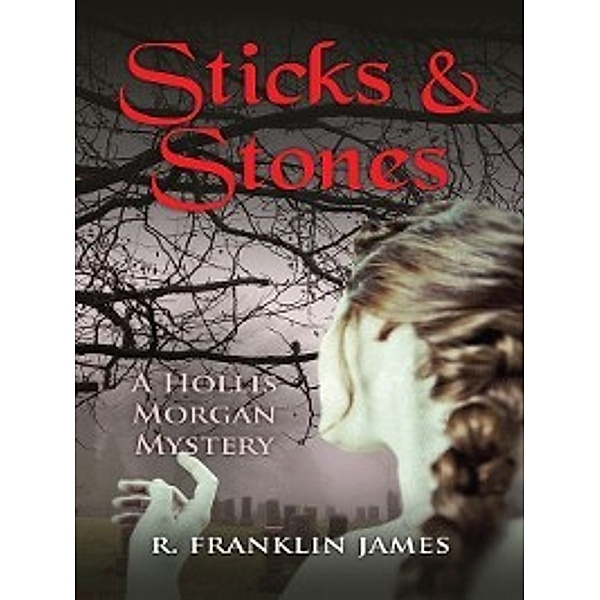 The Hollis Morgan Mystery: Sticks & Stones, R. Franklin James