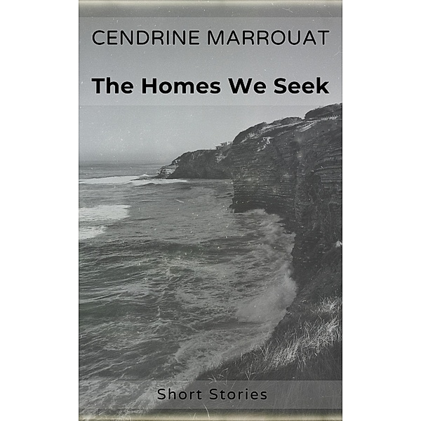 The Homes We Seek, Cendrine Marrouat