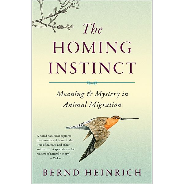 The Homing Instinct, Bernd Heinrich