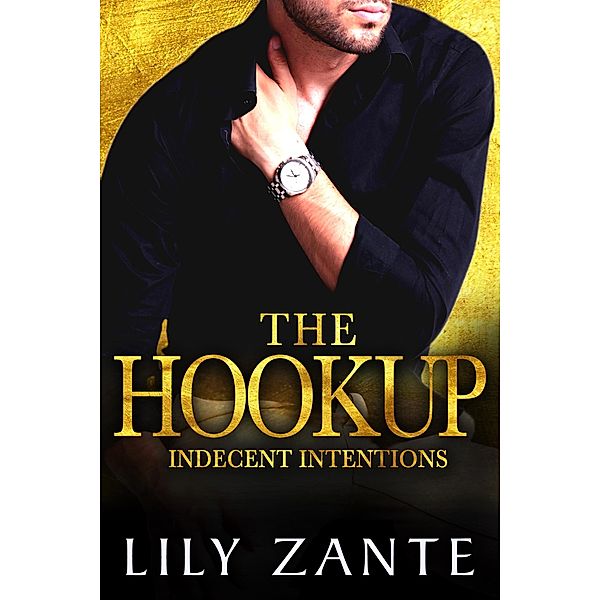 The Hookup (Indecent Intentions, #2) / Indecent Intentions, Lily Zante
