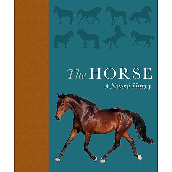 The Horse, Debbie Busby, Catrin Rutland