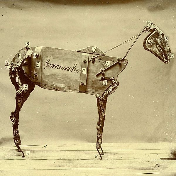 The Horse Comanche (Vinyl), Chadwick Stokes