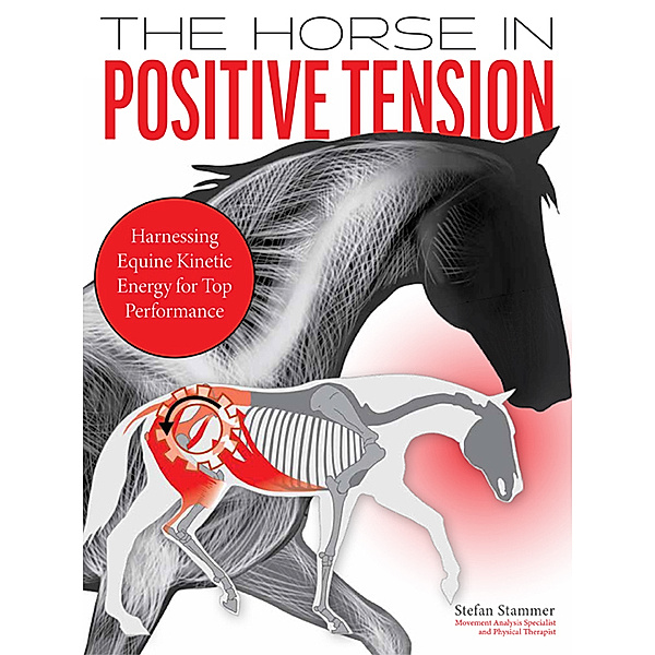 The Horse in Positive Tension, Stefan Stammer