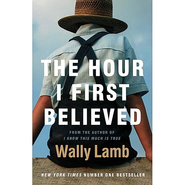 The Hour I First Believed, Wally Lamb
