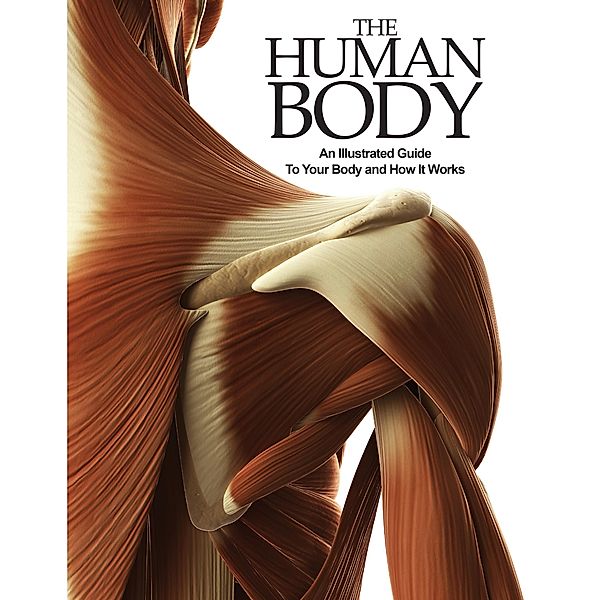 The Human Body