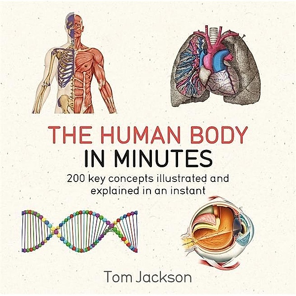 The Human Body in Minutes, Tom Jackson