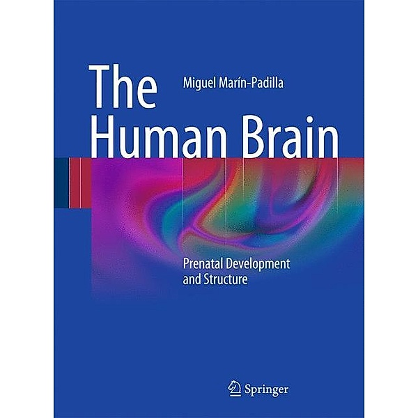 The Human Brain, Miguel Marín-Padilla