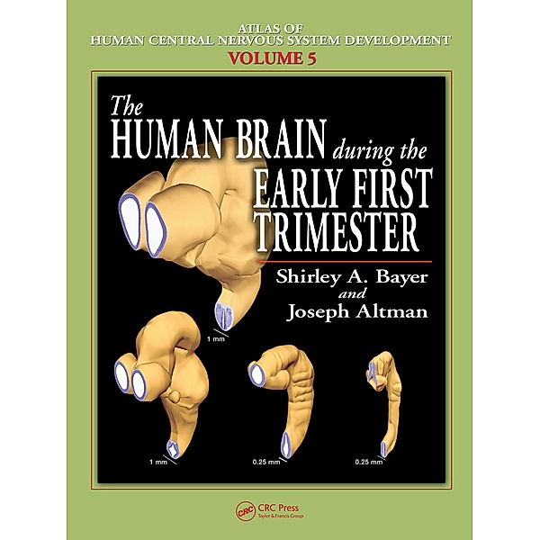The Human Brain During the Early First Trimester, Shirley A. Bayer, Joseph Altman