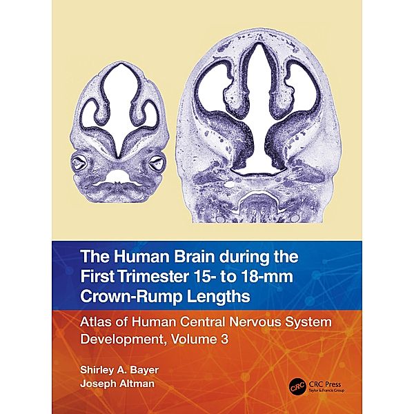 The Human Brain during the First Trimester 15- to 18-mm Crown-Rump Lengths, Shirley A. Bayer, Joseph Altman