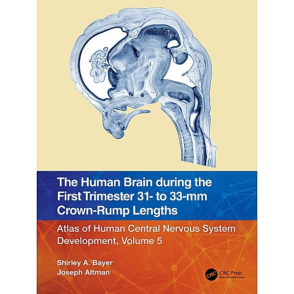 The Human Brain during the First Trimester 31- to 33-mm Crown-Rump Lengths, Shirley A. Bayer, Joseph Altman