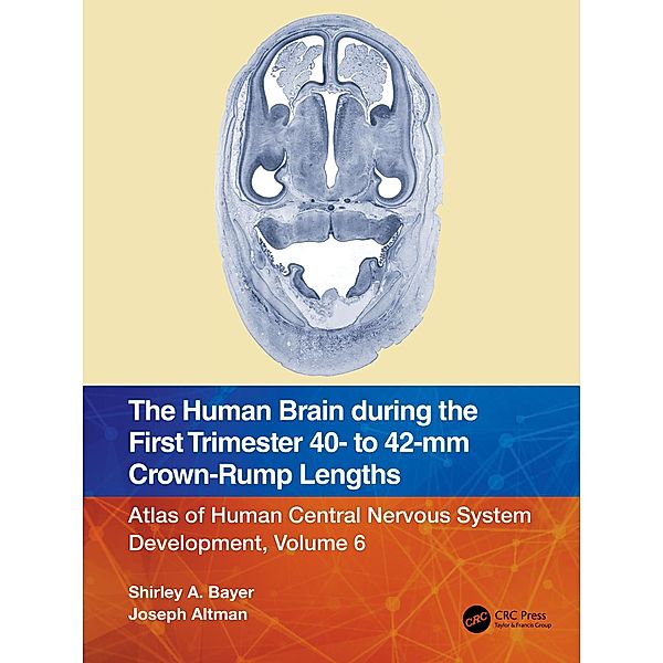 The Human Brain during the First Trimester 40- to 42-mm Crown-Rump Lengths, Shirley A. Bayer, Joseph Altman