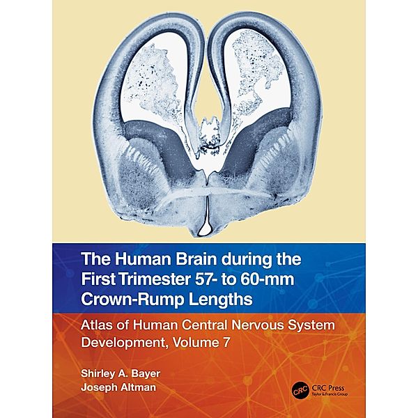 The Human Brain during the First Trimester 57- to 60-mm Crown-Rump Lengths, Shirley A. Bayer, Joseph Altman