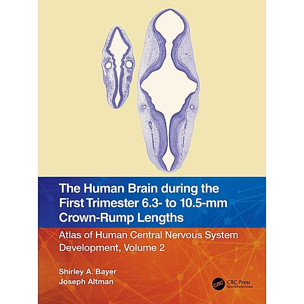 The Human Brain during the First Trimester 6.3- to 10.5-mm Crown-Rump Lengths, Shirley A. Bayer, Joseph Altman