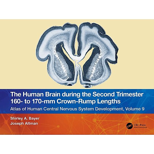 The Human Brain during the Second Trimester 160- to 170-mm Crown-Rump Lengths, Shirley A. Bayer, Joseph Altman