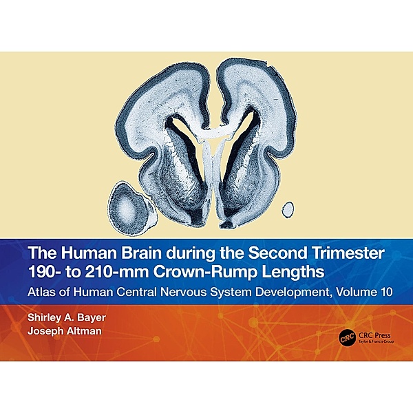 The Human Brain during the Second Trimester 190- to 210-mm Crown-Rump Lengths, Shirley A. Bayer, Joseph Altman