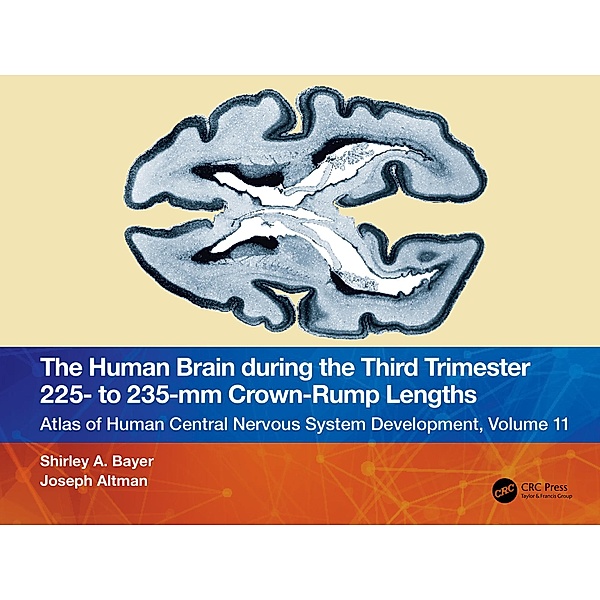 The Human Brain during the Third Trimester 225- to 235-mm Crown-Rump Lengths, Shirley A. Bayer, Joseph Altman