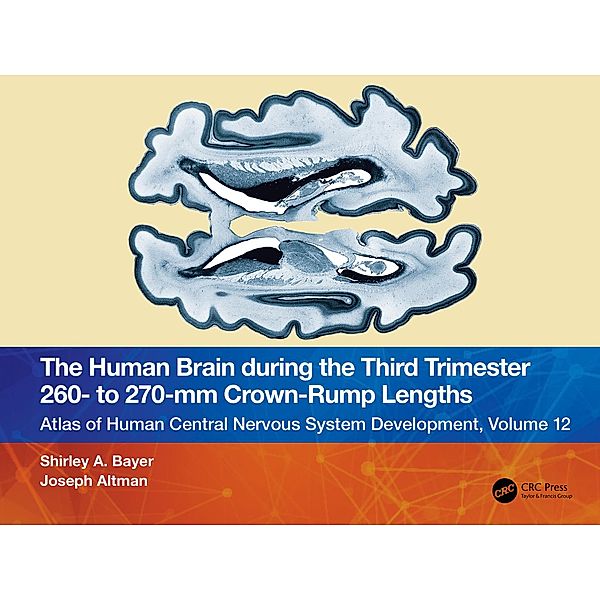 The Human Brain during the Third Trimester 260- to 270-mm Crown-Rump Lengths, Shirley A. Bayer, Joseph Altman