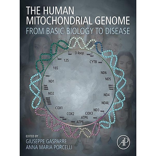 The Human Mitochondrial Genome