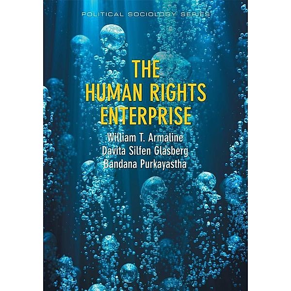 The Human Rights Enterprise / PPSS - Polity Political Sociology series Bd.1, William T. Armaline, Davita S. Glasberg, Bandana Purkayastha