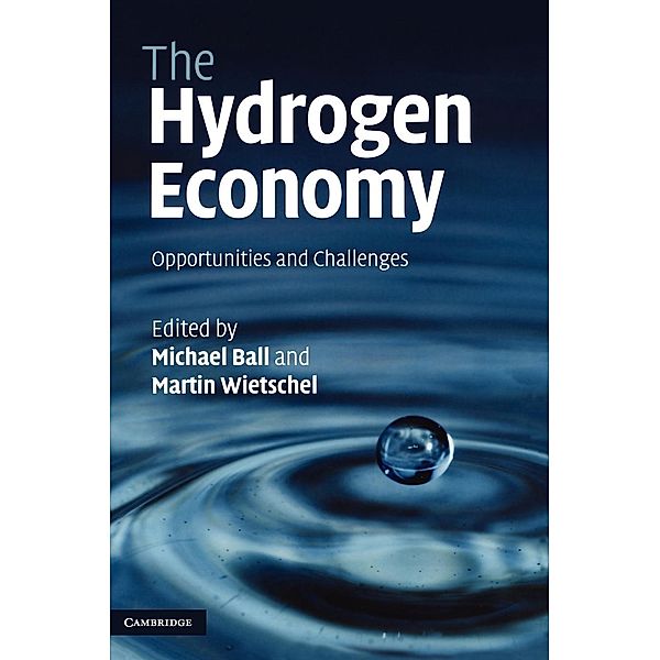 The Hydrogen Economy