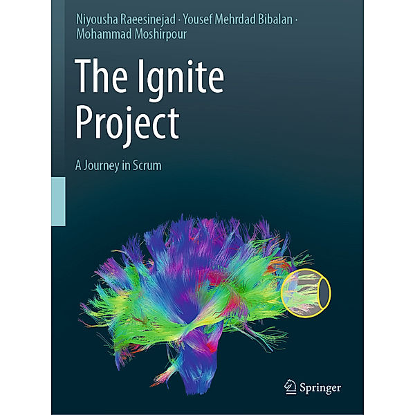 The Ignite Project, Niyousha Raeesinejad, Yousef Mehrdad Bibalan, Mohammad Moshirpour
