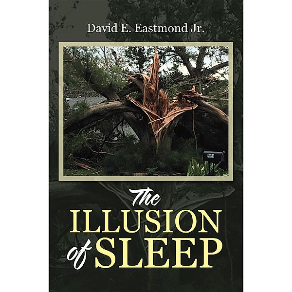 The Illusion of Sleep, David E. Eastmond Jr.