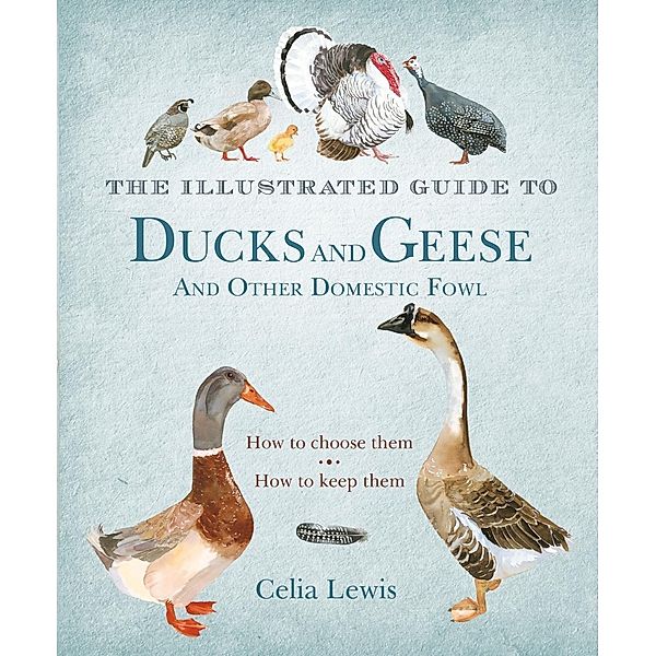 The Illustrated Guide to Ducks and Geese and Other Domestic Fowl, Celia Lewis