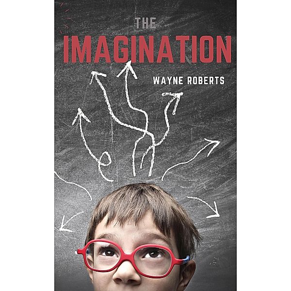 The Imagination, Wayne Roberts