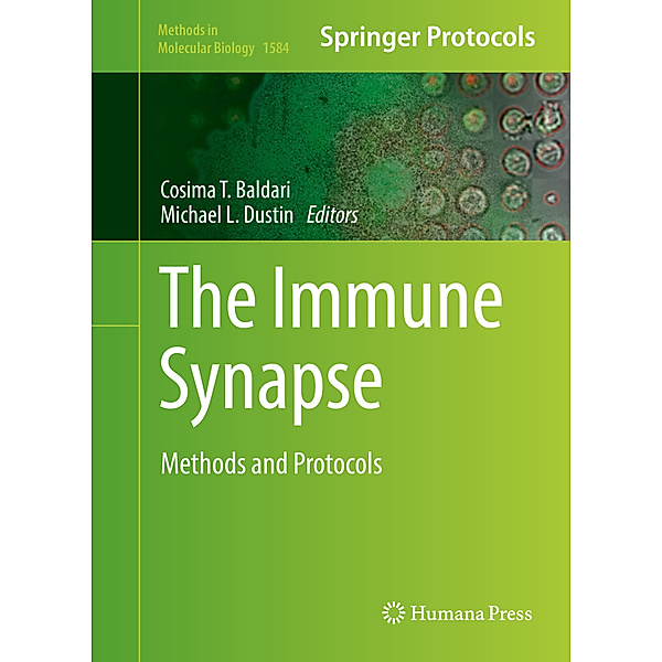 The Immune Synapse