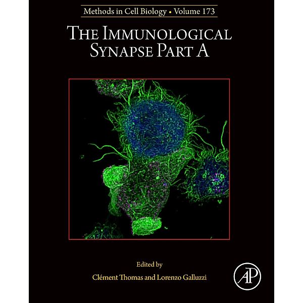 The Immunological Synapse Part A