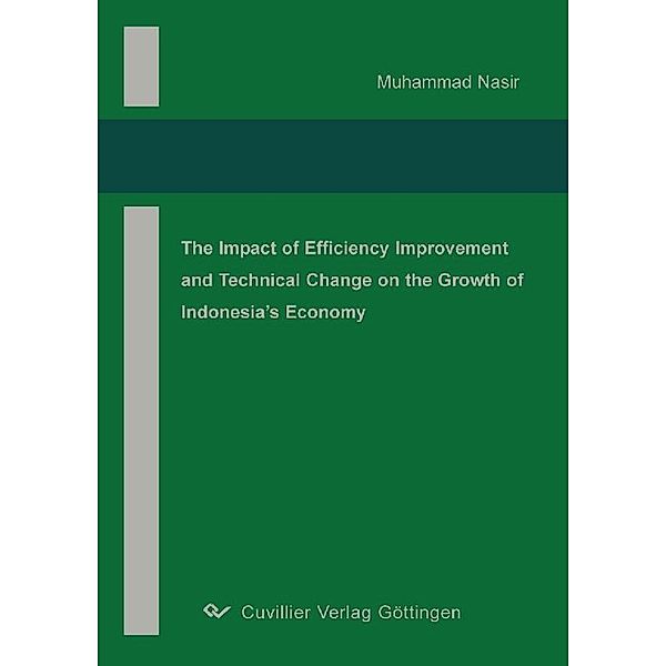 The Impact of Efficiency Improvement and Technical Change on The Growth of Indonesia&#x2019;s Economy