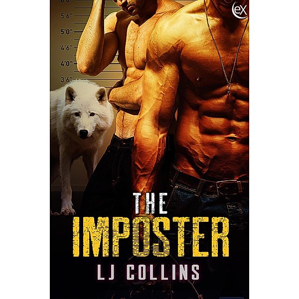 The Imposter (Men in Love and at War, #10) / Men in Love and at War, L. J. Collins