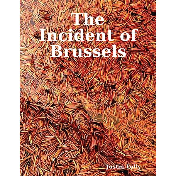 The Incident of Brussels, Justin Tully