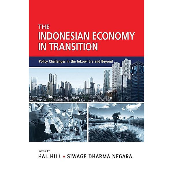 The Indonesian Economy in Transition