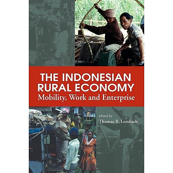 The Indonesian Rural Economy