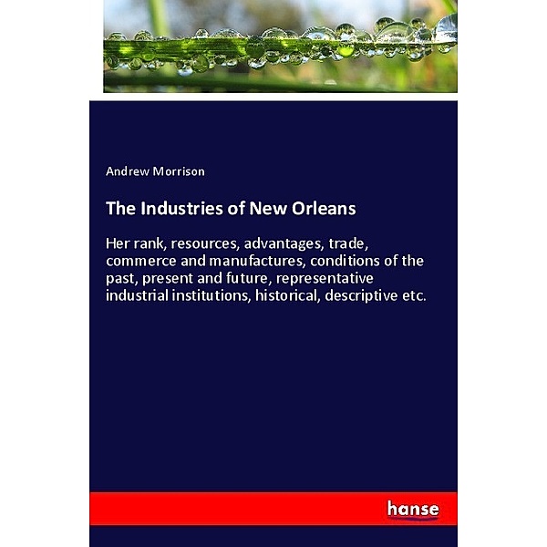 The Industries of New Orleans, Andrew Morrison